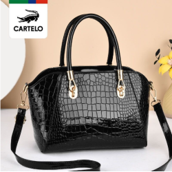 "cristian dior handbag voir handbags siling bag women cartila crocodile bag women's middle aged and elderly mothers buy vegetable bags grandma's purse mini handbag "