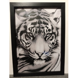 1 pc Wall Art Home Decor TIGER with BLACK FRAME and GLASS COVER.