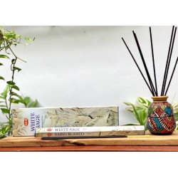 HEM White Sage Jumbo Incense - 10 Sticks