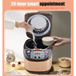 5L Home intelligent reservation multi-functional rice cooker cooking rice and soup